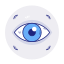 vision